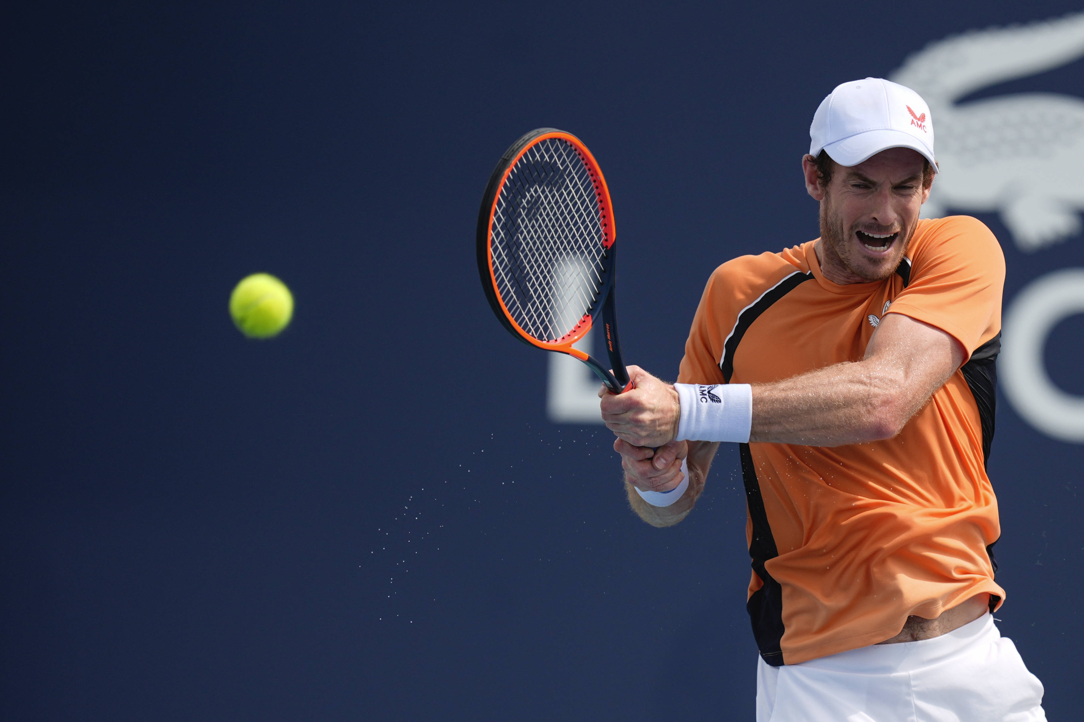 ATP总决赛力克年终总决赛,穆雷惊艳四座 ATP总决赛力克年终总决赛,穆雷惊艳四座