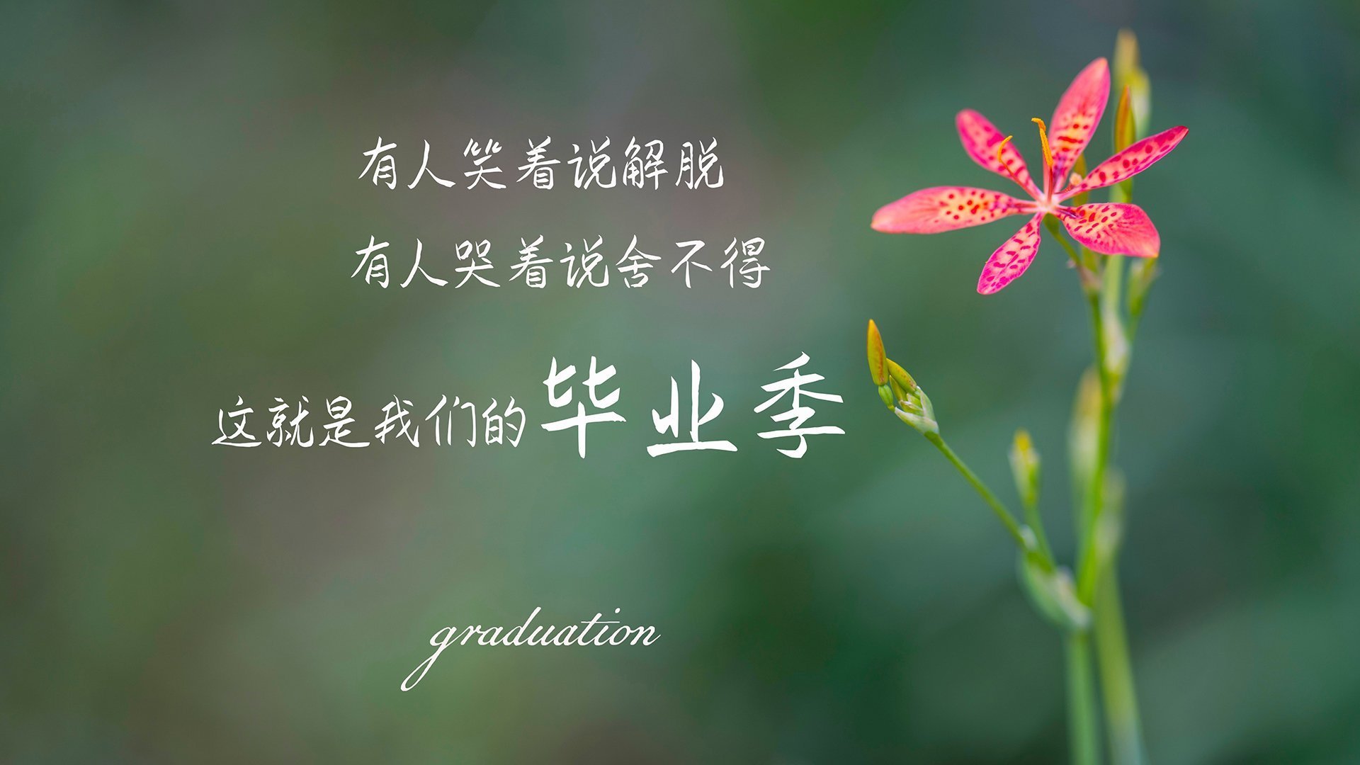 东方新月与英伦利刃，绿茵场上的征服叙事