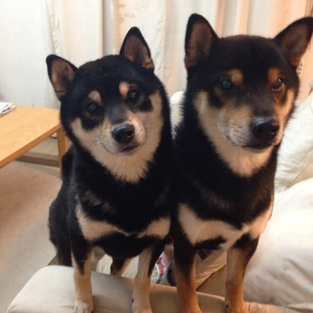 篮球与绿茵,新一代接管者的诞生