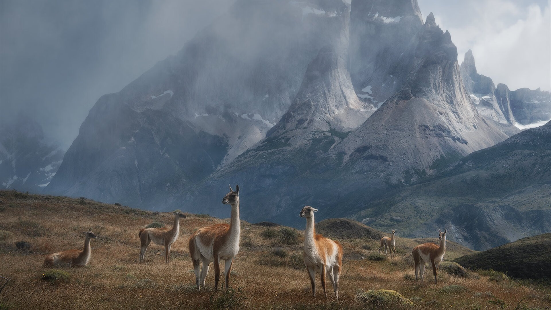 金年会网址-北非德比烽火再燃，布鲁诺冠军级表现铸就摩洛哥新王座
