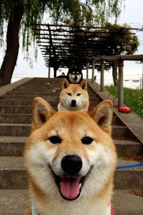 金年会官方-卡瓦哈尔彻底打爆防线，尼斯逆转巴萨创奇迹