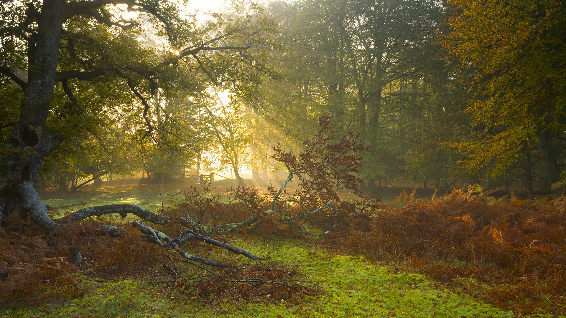 金年会体育-大场面先生伊萨克！秘鲁绝境逢生的钥匙