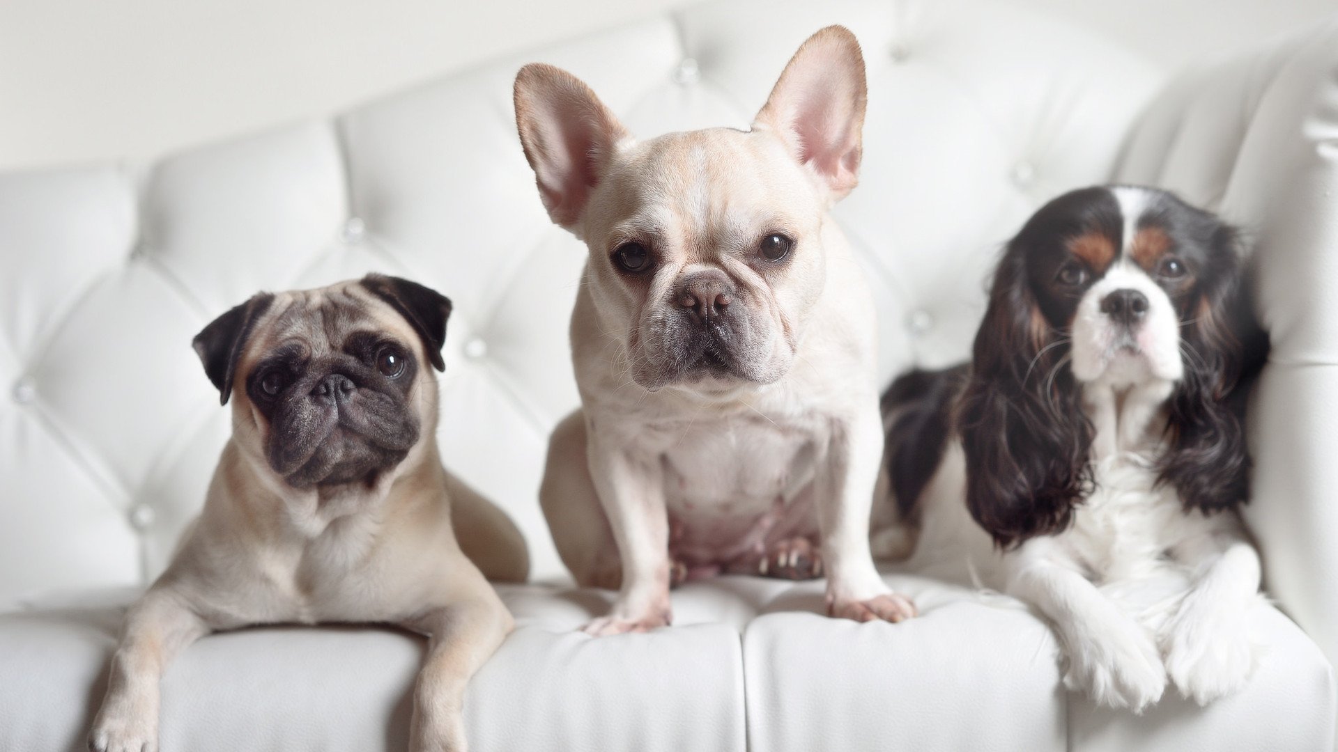 金年会电子-希腊决胜局带走瑞典，拉亚成为关键先生