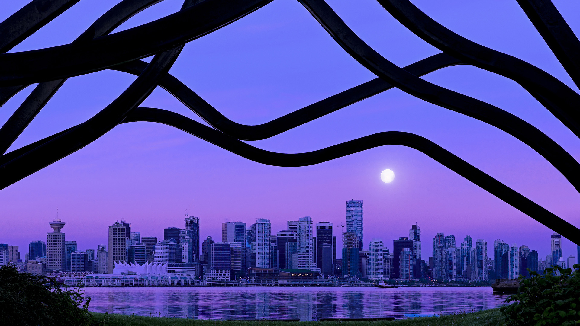 制霸南美与闪耀亚平宁,新西兰与卢卡库的体育传奇时刻