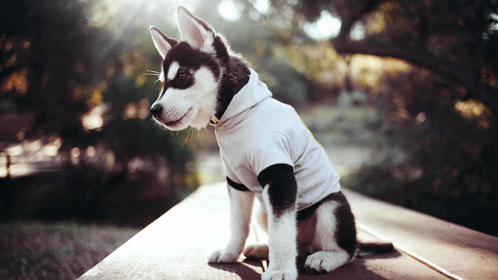 金年会-终场前121秒！西亚卡姆死亡七连击撕裂防守，快船窒息节奏压垮鹈鹕翅膀