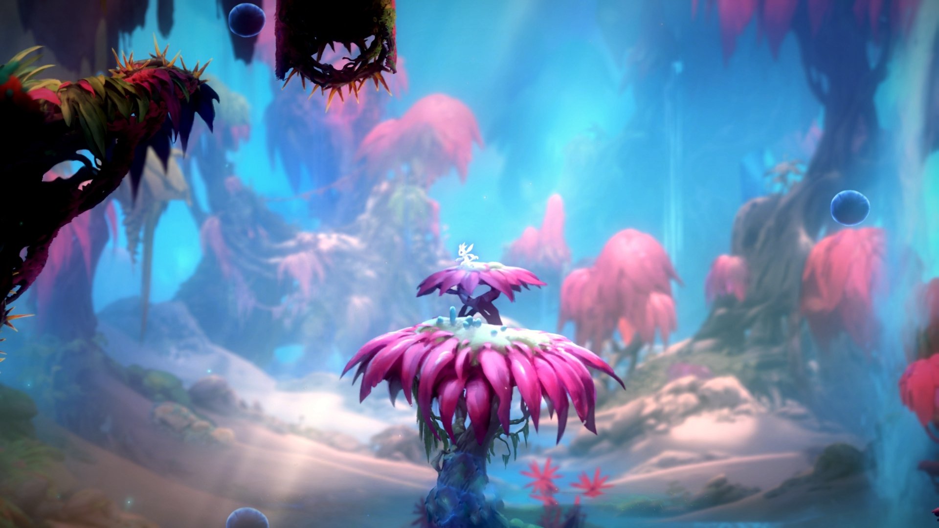 加克波闪耀逆转，当关键先生拯救伊斯坦布尔之夜