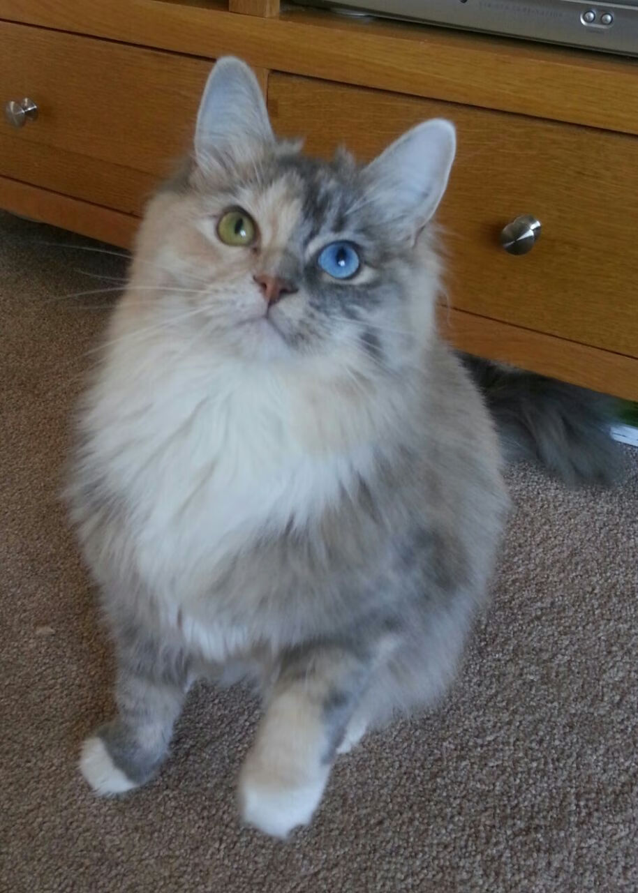 逆转雄鹿!贝恩末节19分诠释关键先生,他用钢铁意志浇筑胜利