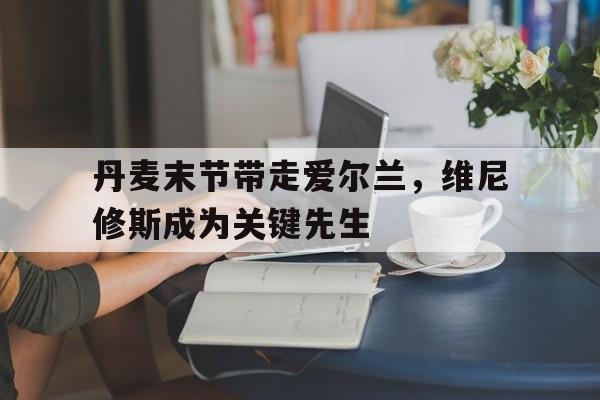 丹麦末节带走爱尔兰，维尼修斯成为关键先生