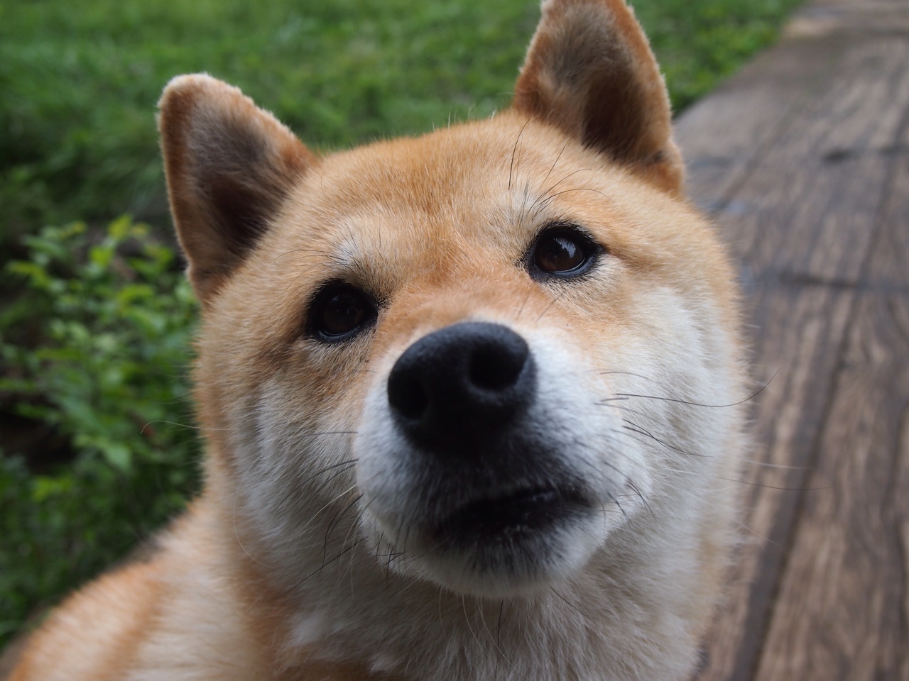 金年会APP-当黄土高原遇到明尼苏达冰雪，一场虚构对决中的真实王者恩比德